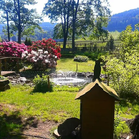 Sowia Dolina - Gory Sowie Bed & Breakfast