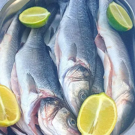 Bed & Breakfast Sowia Dolina - Gory Sowie Pieszyce