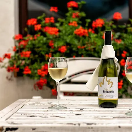 Oda ve Kahvaltı Sowia Dolina - Gory Sowie