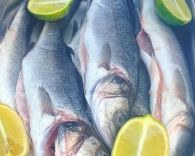 לינה וארוחת בוקר Sowia Dolina - Gory Sowie Pieszyce